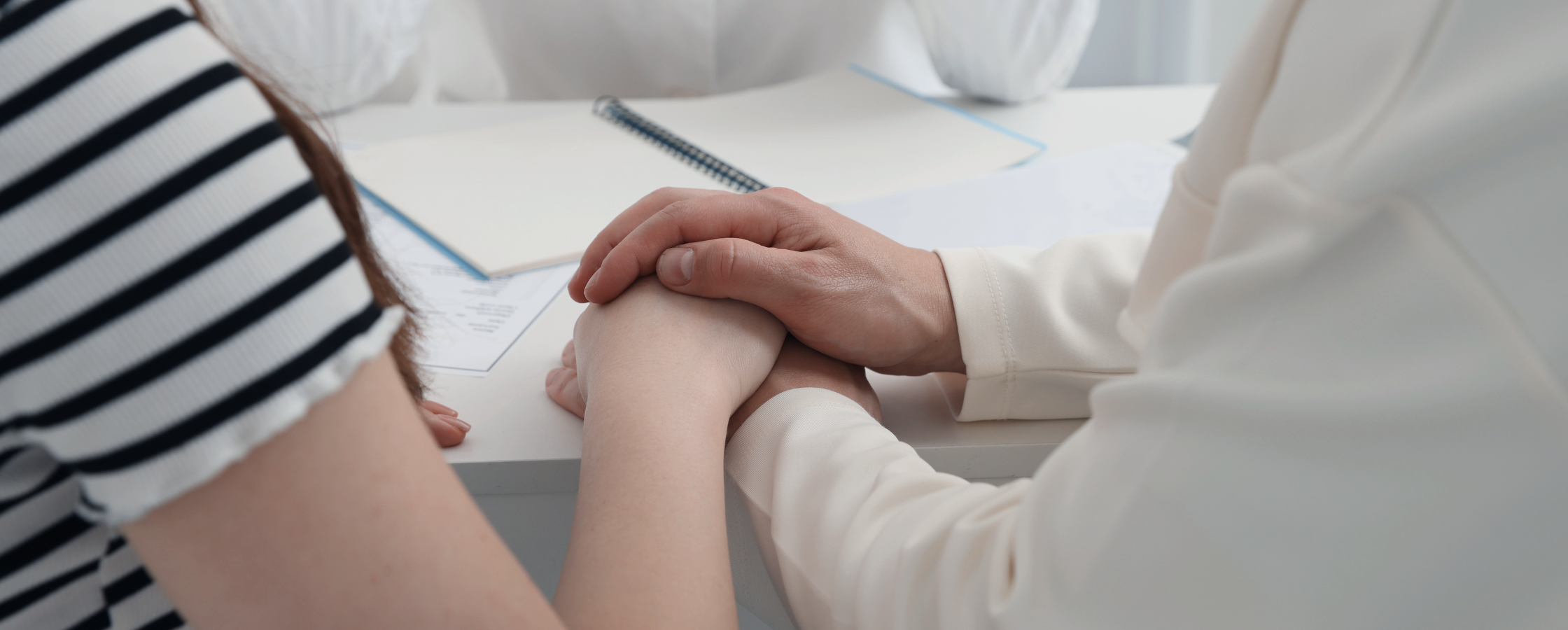 fertility clinic ivf software