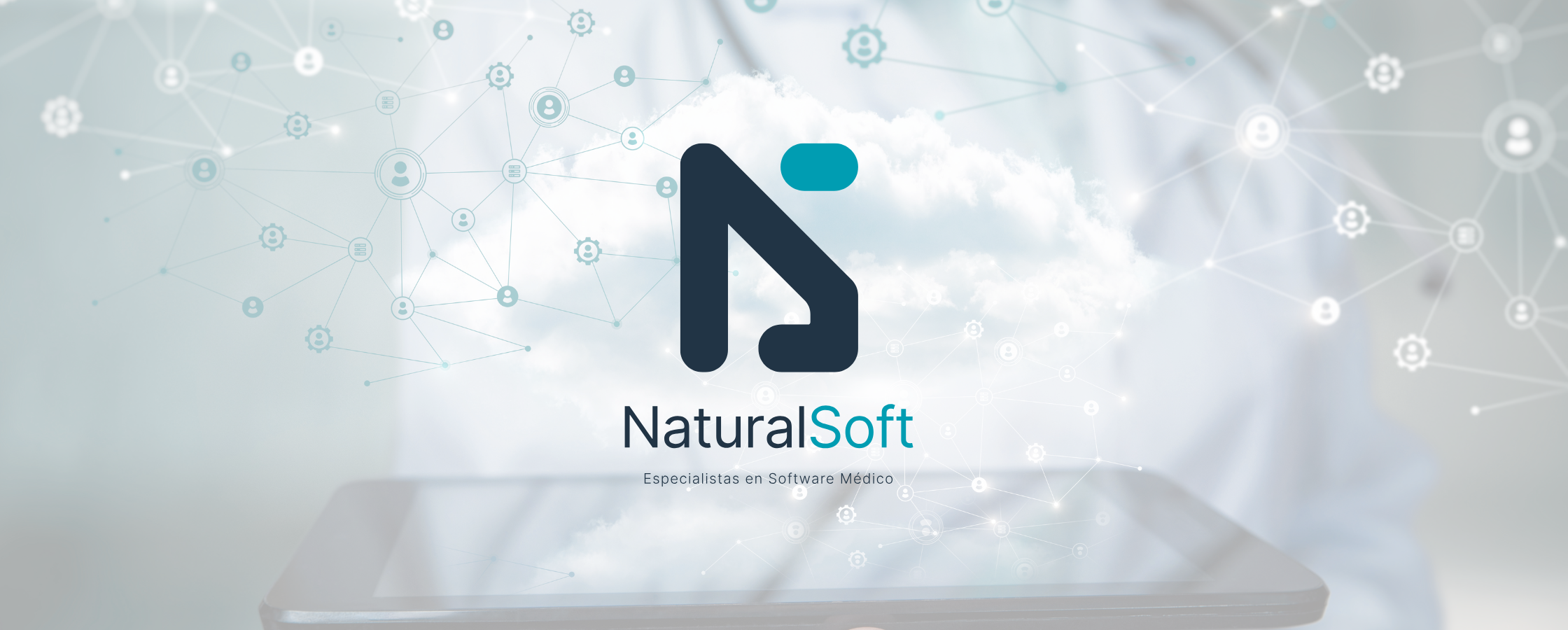 Naturalsoft Solutions